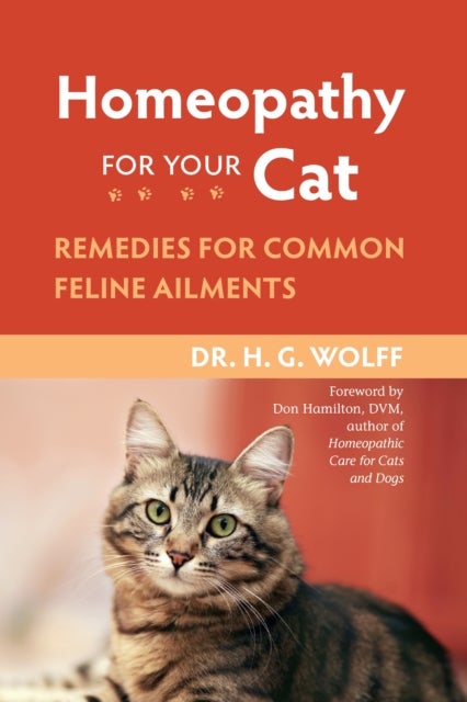 Homeopathy for Your Cat - Remedies for Common Feline Ailments