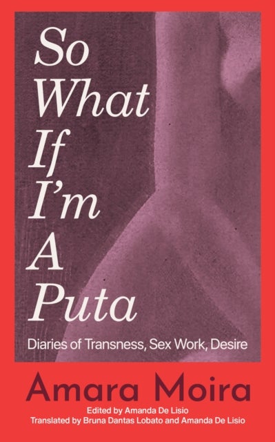 (So What) If I'm a Puta? - Travesti Diaries