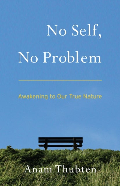 No Self, No Problem - Awakening to Our True Nature