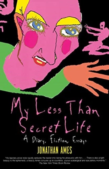 My Less Than Secret Life - A Diary, Fiction, Essays
