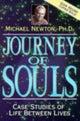 Journey of Souls: Case Studies of Life Between Liv