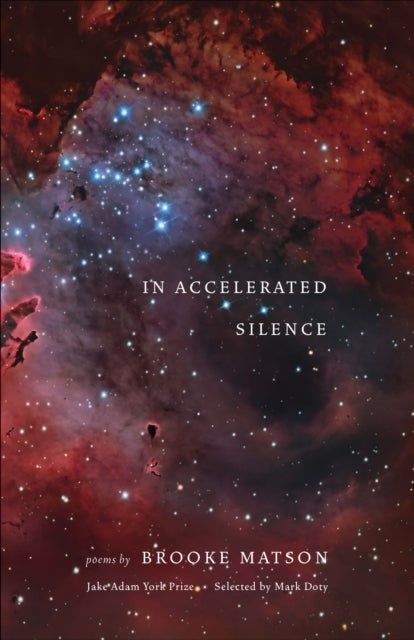 In Accelerated Silence - Poems
