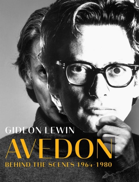 Avedon - Behind the Scenes 1964-1980