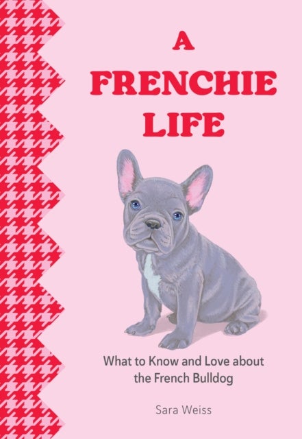 A Frenchie Life - What to Know and Love about the French Bulldog
