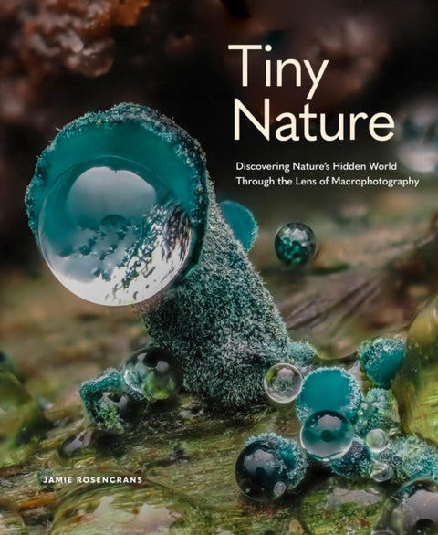 Tiny Nature - Discovering Nature's Hidden World Through the Lens of Macrophotography