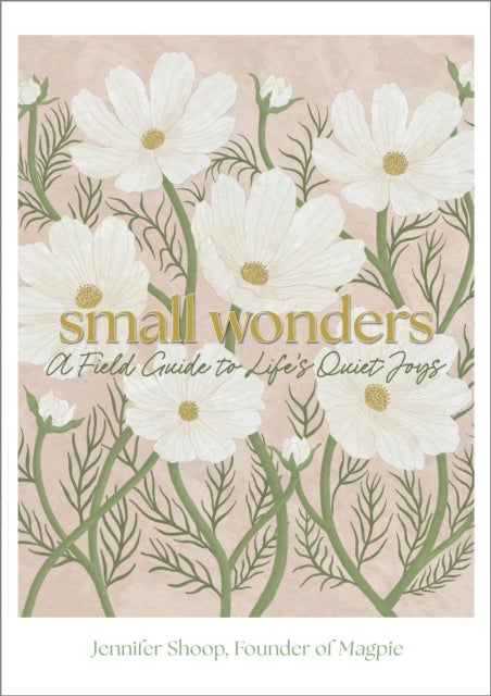 Small Wonders - A Field Guide to Life's Quiet Joys