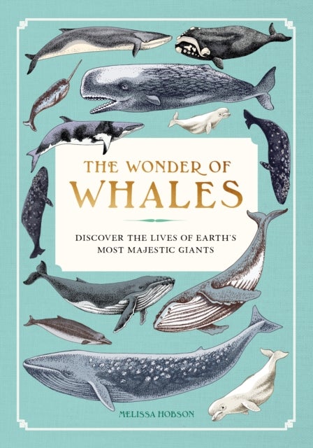 The Wonder of Whales - Discover the Lives of Earth's Most Majestic Giants