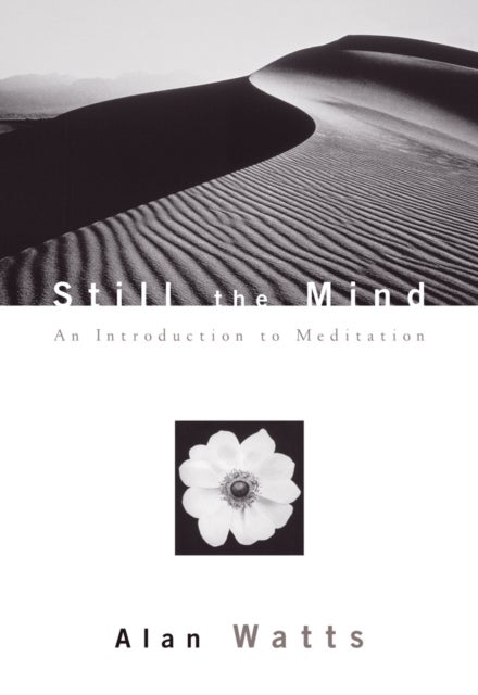 Still the Mind - An Introduction to Meditation