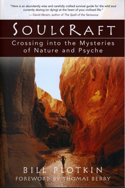 Soulcraft - Crossing into the Mysteries of Nature and Psyche