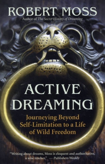 Active Dreaming - Journeying Beyond Self-Limitation to a Life of Wild Freedom