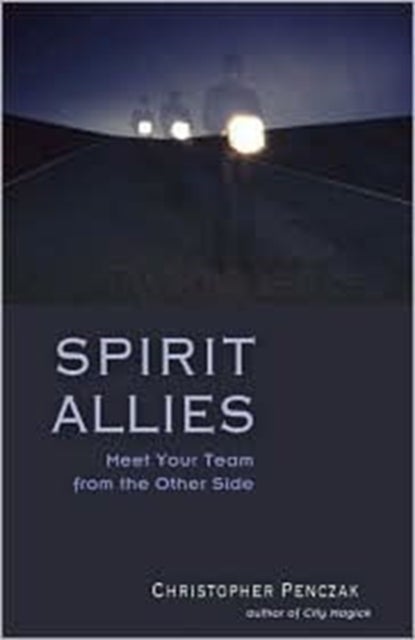Spirit Allies - Meet Your Team from the Other Side