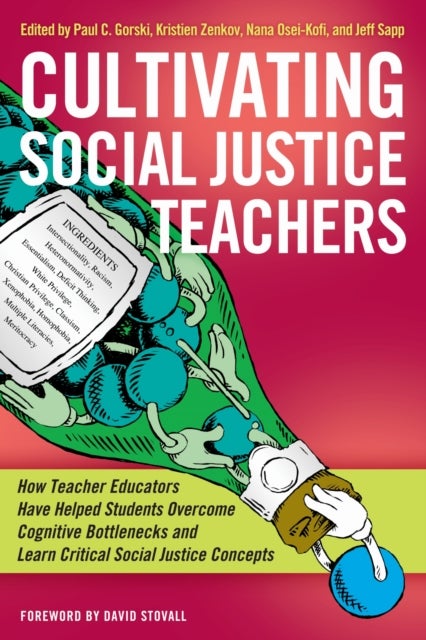 Cultivating Social Justice Teachers - How Teacher Educators Have Helped Students Overcome Cognitive Bottlenecks and Learn Critical Social Justice Concepts