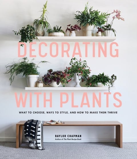 Decorating with Plants - What to Choose, Ways to Style, and How to Make Them Thrive