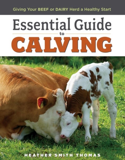 Essential Guide to Calving - Giving Your Beef or Dairy Herd a Healthy Start