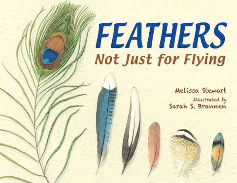 Feathers - Not Just for Flying