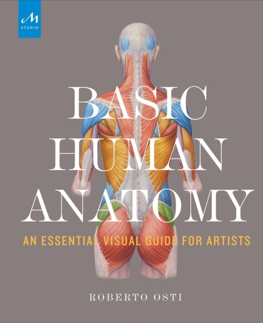 Basic Human Anatomy - An Essential Visual Guide for Artists