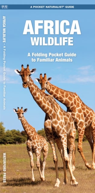 African Wildlife - A Folding Pocket Guide to Familiar Species