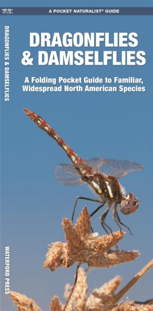 Dragonflies & Damselflies - A Folding Pocket Guide to Familiar Widespread, North American Species