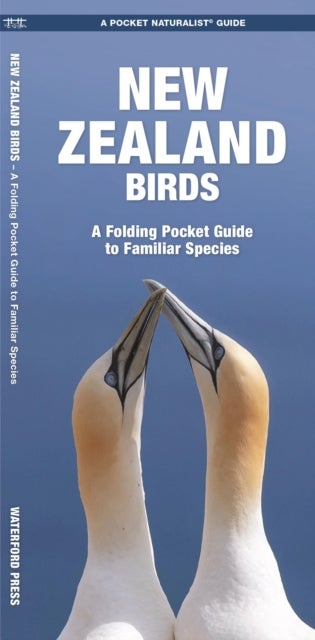 New Zealand Birds - A Folding Pocket Guide to Familiar Species