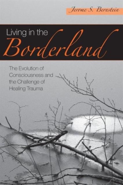 Living in the Borderland - The Evolution of Consciousness and the Challenge of Healing Trauma