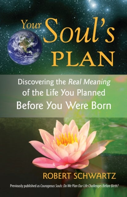 Your Soul's Plan - Discovering the Real Meaning of the Life You Planned Before You Were Born
