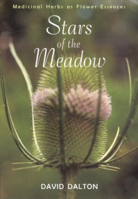 Stars of the Meadow - Medicinal Herbs as Flower Essences