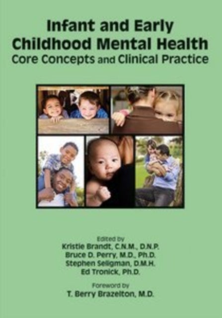 Infant and Early Childhood Mental Health - Core Concepts and Clinical Practice