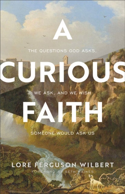 A Curious Faith - The Questions God Asks, We Ask, and We Wish Someone Would Ask Us