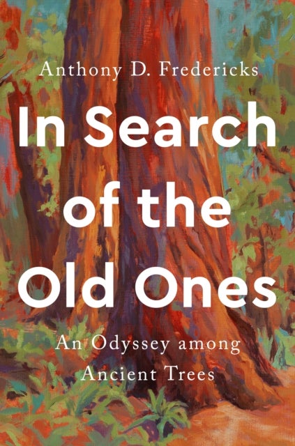 In Search of the Old Ones - An Odyssey Among Ancient Trees