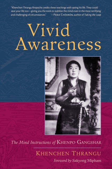 Vivid Awareness - The Mind Instructions of Khenpo Gangshar