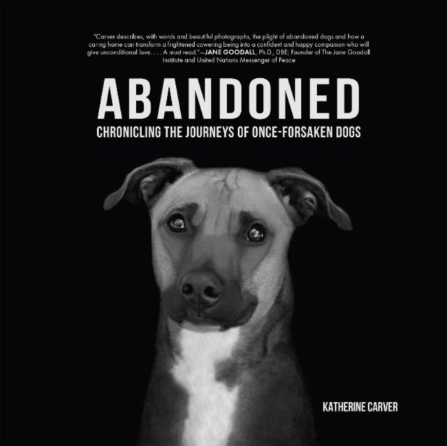 Abandoned - Chronicling the Journeys of Once-Forsaken Dogs