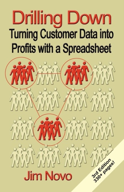 Drilling Down - Turning Customer Data into Profits with a Spreadsheet - Third Edition