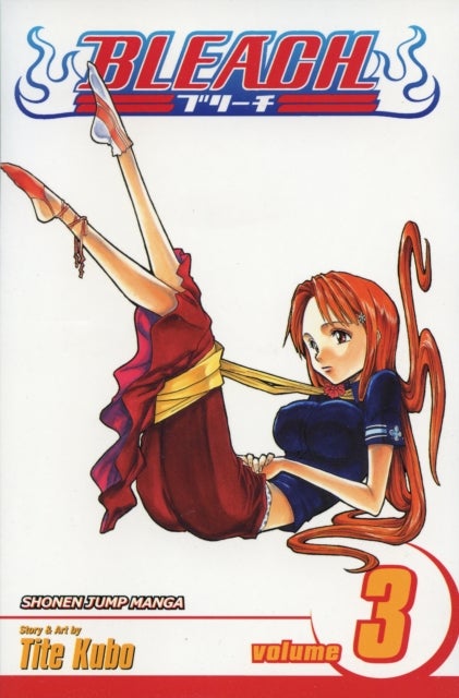 Bleach, Vol. 3 - Memories in the Rain