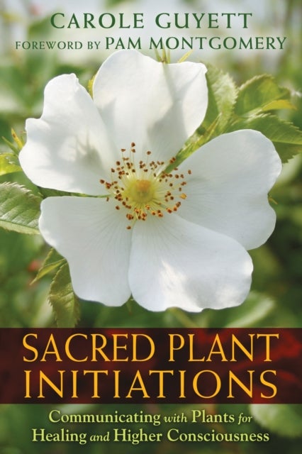 Sacred Plant Initiations - Communicating with Plants for Healing and Higher Consciousness