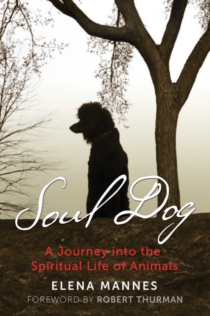 Soul Dog - A Journey into the Spiritual Life of Animals