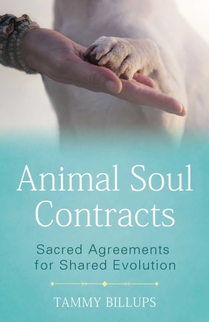 Animal Soul Contracts - Sacred Agreements for Shared Evolution
