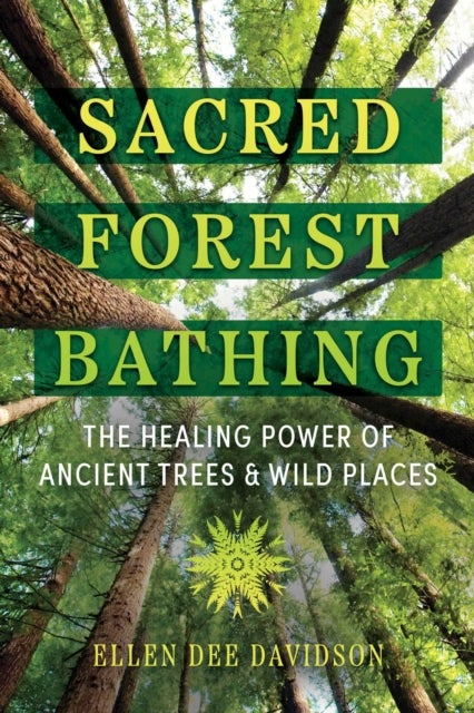 Sacred Forest Bathing - The Healing Power of Ancient Trees and Wild Places
