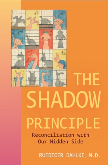 Shadow Principle - Reconciliation with Our Hidden Side