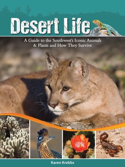 Desert Life - A Guide to the Southwest's Iconic Animals & Plants and How They Survive