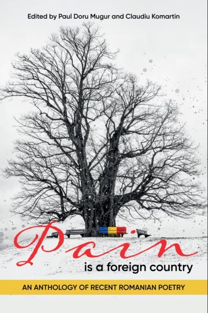 Pain Is a Foreign Country - An Anthology of Recent Romanian Poetry