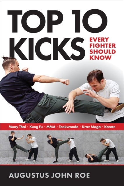 Top 10 Kicks - Every Fighter Should Know