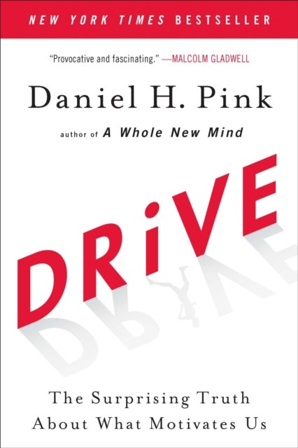 Drive - The Surprising Truth About What Motivates Us