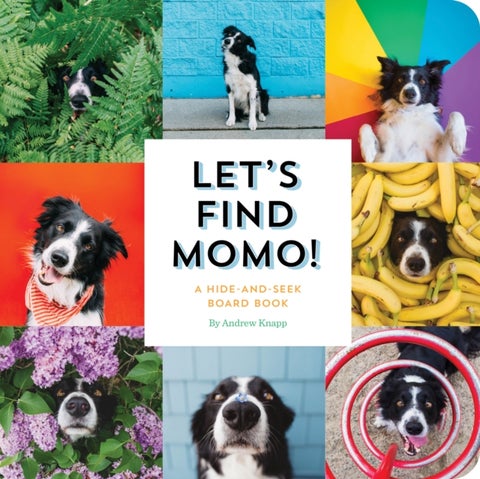 Let's Find Momo! - A Hide-and-Seek Board Book