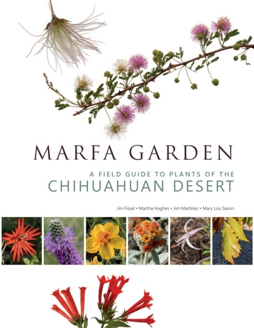 Marfa Garden - A Field Guide to Plants of the Chihuahuan Desert