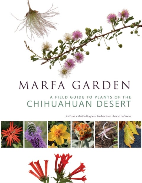 Marfa Garden - A Field Guide to Plants of the Chihuahuan Desert