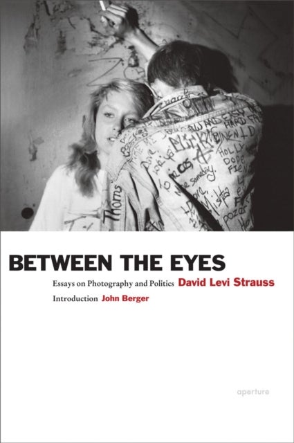 Between the Eyes - Essays on Photography and Politics