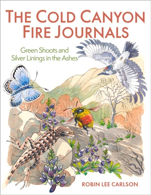 The Cold Canyon Fire Journals - Green Shoots and Silver Linings in the Ashes