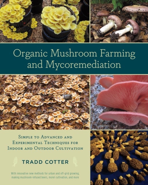 Organic Mushroom Farming and Mycoremediation - Simple to Advanced and Experimental Techniques for Indoor and Outdoor Cultivation