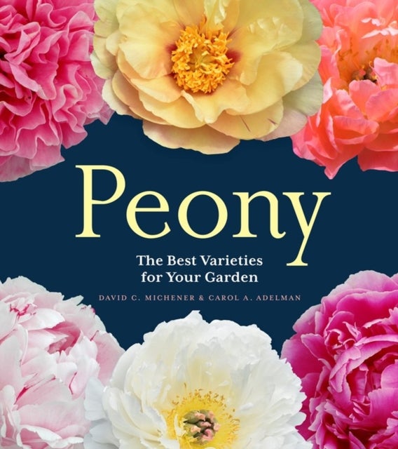 Peony - The Best Varieties for Your Garden
