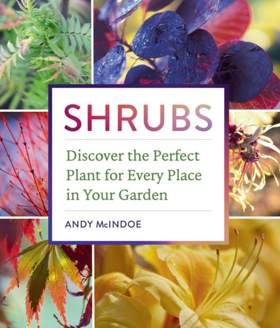 Shrubs - Discover the Perfect Plant for Every Place in Your Garden